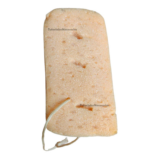 esponja suave profesional limpieza coche